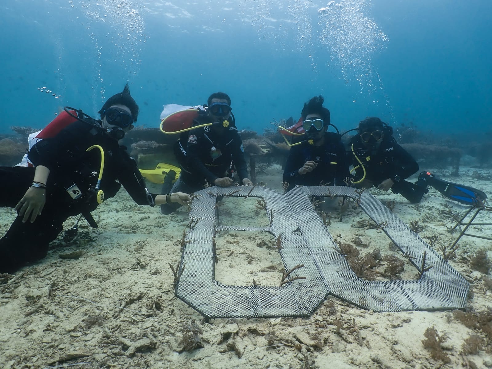 Konservasi Laut Jadi Cara Unik Peringati Kemerdekaan ke-80 di Banggai Laut